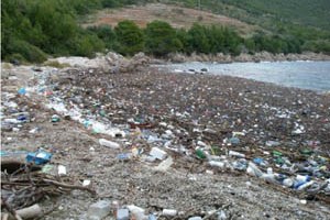 Mljet, 21. studenoga 2010. - jedna od mljetskih plaža koja je zagađena enormnim nanosima otpada koje su doplutale morskim strujama iz smjera Albabnije